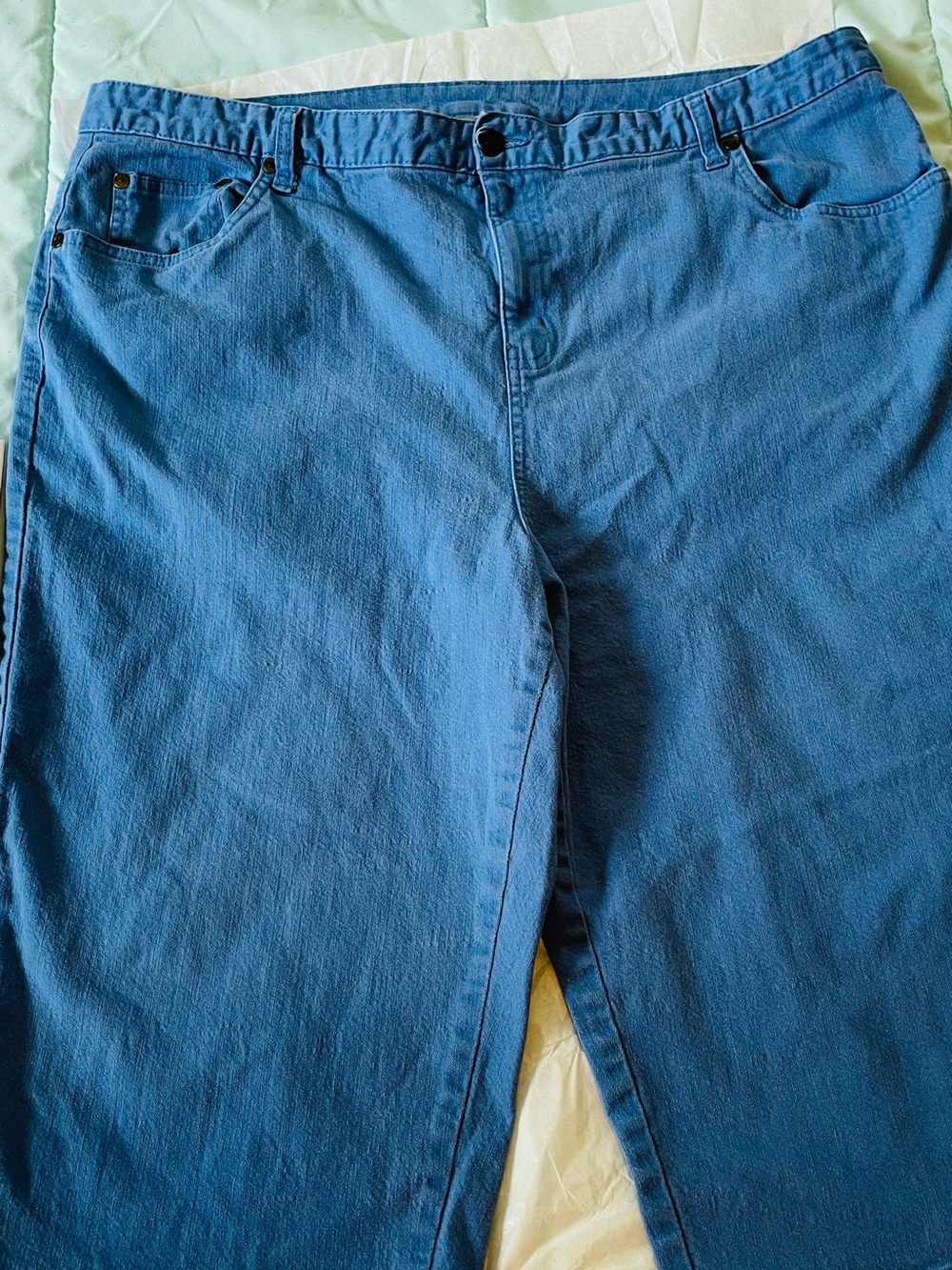 Plus Size Women’s Capris in Blue